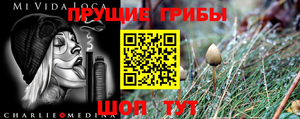 Бузулук  Галлюциногенные грибы MAGIC MUSHROOMS  Галлюциногенные грибы Cubensis  Вход с VPN 