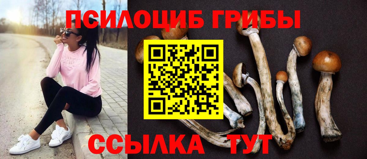 Псилоцибиновые грибы Magic Shrooms Бузулук